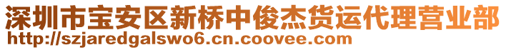 深圳市寶安區(qū)新橋中俊杰貨運(yùn)代理營(yíng)業(yè)部