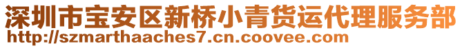 深圳市寶安區(qū)新橋小青貨運代理服務部