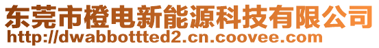 東莞市橙電新能源科技有限公司