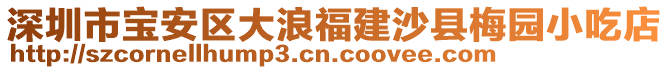 深圳市寶安區(qū)大浪福建沙縣梅園小吃店