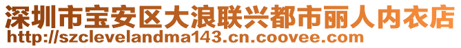 深圳市寶安區(qū)大浪聯(lián)興都市麗人內(nèi)衣店