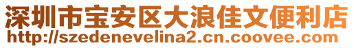 深圳市寶安區(qū)大浪佳文便利店