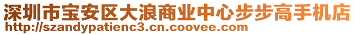 深圳市寶安區(qū)大浪商業(yè)中心步步高手機(jī)店