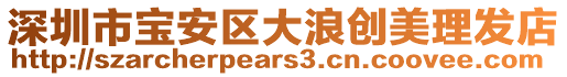 深圳市寶安區(qū)大浪創(chuàng)美理發(fā)店