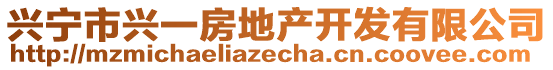 兴宁市兴一房地产开发有限公司