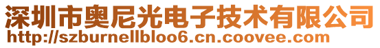 深圳市奧尼光電子技術(shù)有限公司