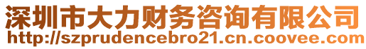 深圳市大力財務(wù)咨詢有限公司