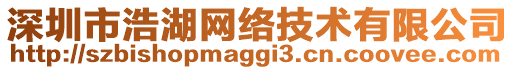 深圳市浩湖網(wǎng)絡(luò)技術(shù)有限公司