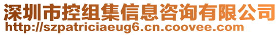 深圳市控組集信息咨詢有限公司