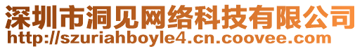 深圳市洞見網(wǎng)絡(luò)科技有限公司