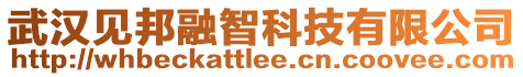 武漢見(jiàn)邦融智科技有限公司