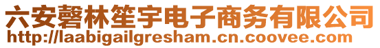 六安磬林笙宇電子商務(wù)有限公司