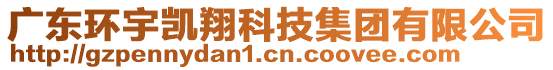 廣東環(huán)宇凱翔科技集團有限公司