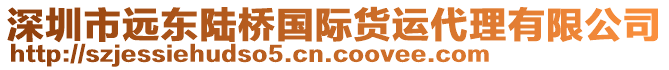 深圳市遠(yuǎn)東陸橋國(guó)際貨運(yùn)代理有限公司