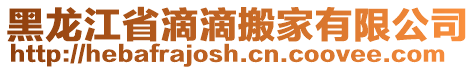 黑龍江省滴滴搬家有限公司