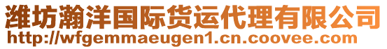 濰坊瀚洋國(guó)際貨運(yùn)代理有限公司