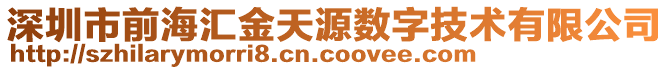 深圳市前海汇金天源数字技术有限公司