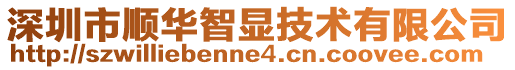 深圳市顺华智显技术有限公司