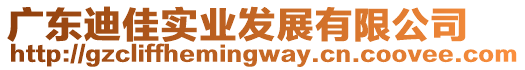 廣東迪佳實(shí)業(yè)發(fā)展有限公司