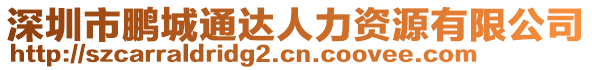 深圳市鵬城通達人力資源有限公司