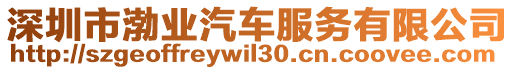 深圳市渤業(yè)汽車服務(wù)有限公司