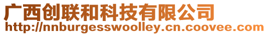 廣西創(chuàng)聯(lián)和科技有限公司