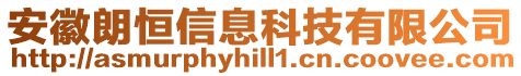 安徽朗恒信息科技有限公司