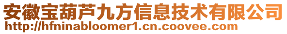 安徽宝葫芦九方信息技术有限公司