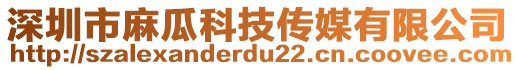 深圳市麻瓜科技傳媒有限公司