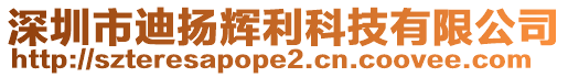 深圳市迪揚(yáng)輝利科技有限公司