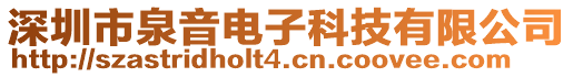 深圳市泉音電子科技有限公司