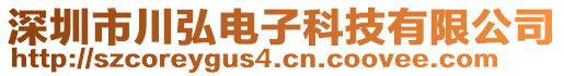 深圳市川弘電子科技有限公司