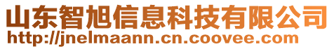 山東智旭信息科技有限公司