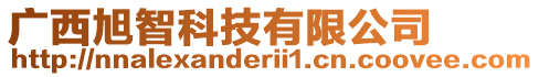 廣西旭智科技有限公司