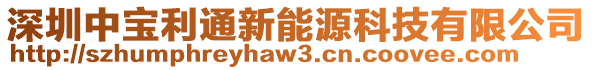 深圳中寶利通新能源科技有限公司