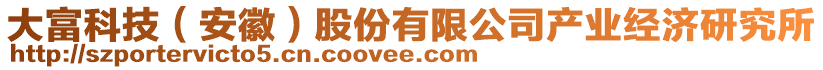 大富科技（安徽）股份有限公司產(chǎn)業(yè)經(jīng)濟研究所