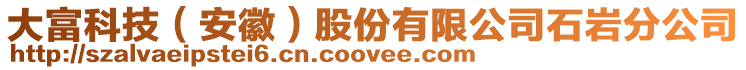 大富科技（安徽）股份有限公司石巖分公司