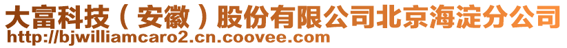 大富科技（安徽）股份有限公司北京海淀分公司