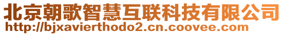 北京朝歌智慧互聯(lián)科技有限公司