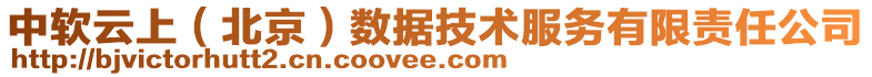 中软云上（北京）数据技术服务有限责任公司