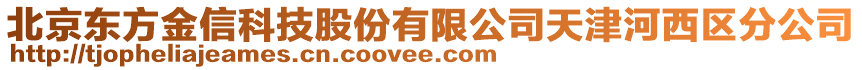 北京东方金信科技股份有限公司天津河西区分公司