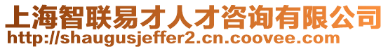 上海智聯(lián)易才人才咨詢有限公司