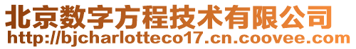 北京數(shù)字方程技術(shù)有限公司