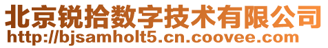 北京銳拾數(shù)字技術(shù)有限公司