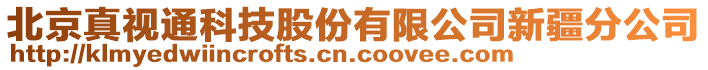 北京真视通科技股份有限公司新疆分公司