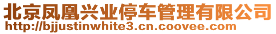 北京鳳凰興業(yè)停車管理有限公司