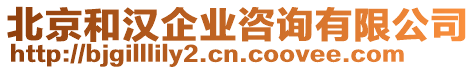 北京和汉企业咨询有限公司