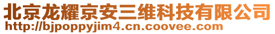 北京龍耀京安三維科技有限公司