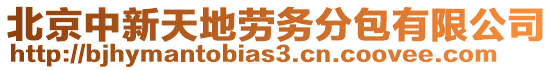 北京中新天地勞務(wù)分包有限公司