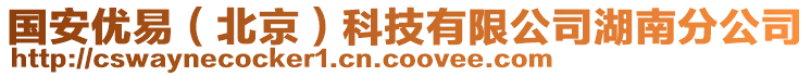 國安優(yōu)易（北京）科技有限公司湖南分公司